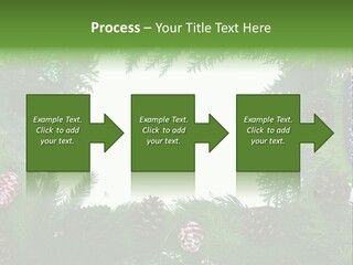 Framing Needle Winter PowerPoint Template