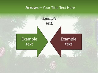 Framing Needle Winter PowerPoint Template