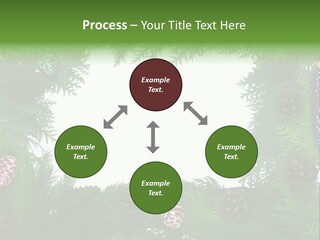 Framing Needle Winter PowerPoint Template