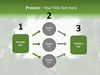 Framing Needle Winter PowerPoint Template