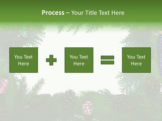 Framing Needle Winter PowerPoint Template