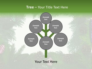 Framing Needle Winter PowerPoint Template