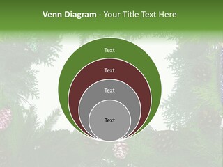 Framing Needle Winter PowerPoint Template