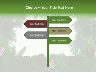 Framing Needle Winter PowerPoint Template