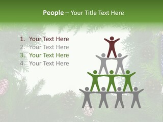 Framing Needle Winter PowerPoint Template