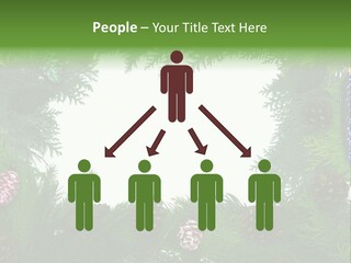 Framing Needle Winter PowerPoint Template