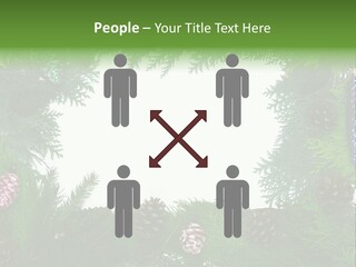 Framing Needle Winter PowerPoint Template