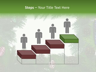 Framing Needle Winter PowerPoint Template