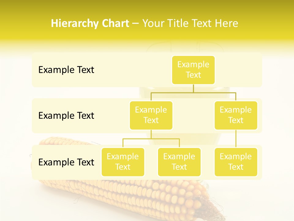 Sweet Corn Grain PowerPoint Template