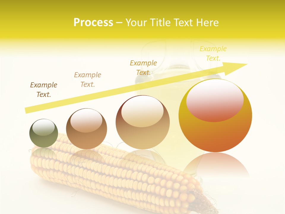 Sweet Corn Grain PowerPoint Template