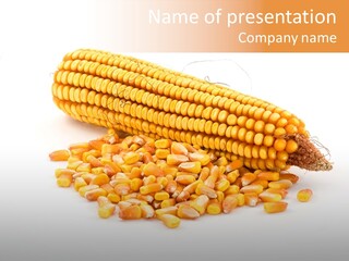 Golden Vegetable Corn PowerPoint Template