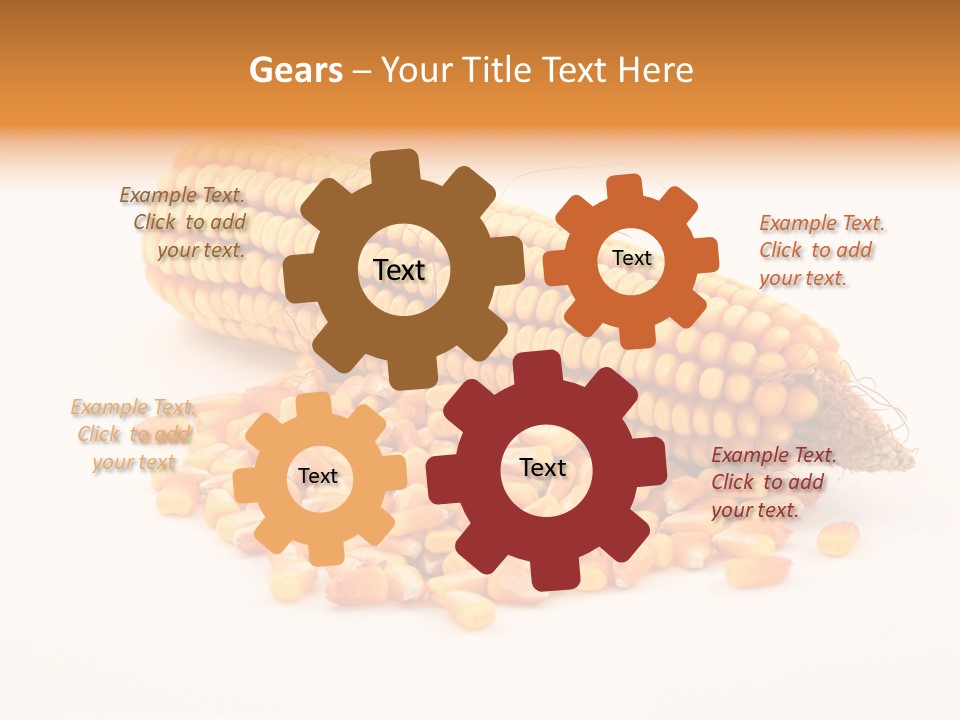 Golden Vegetable Corn PowerPoint Template