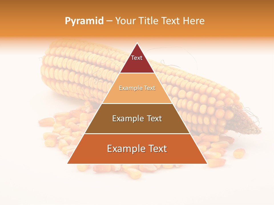 Golden Vegetable Corn PowerPoint Template