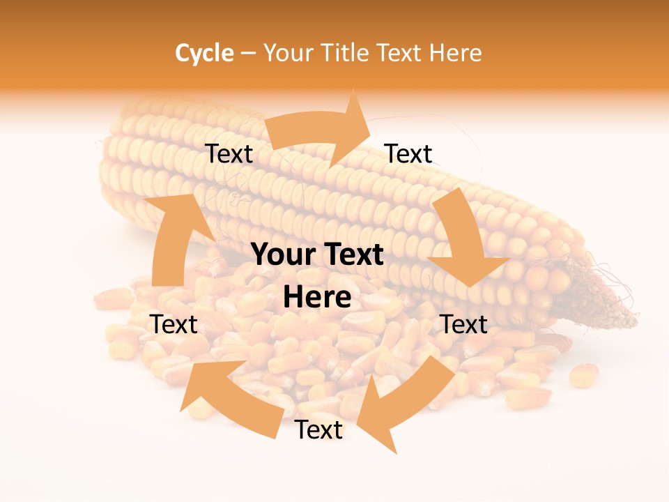 Golden Vegetable Corn PowerPoint Template