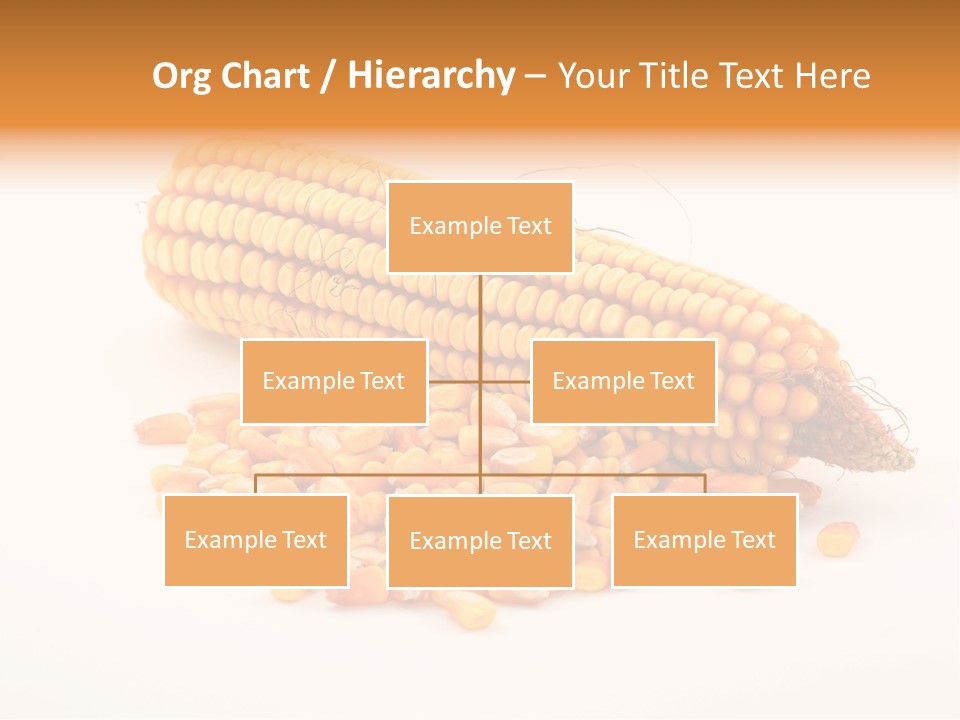 Golden Vegetable Corn PowerPoint Template