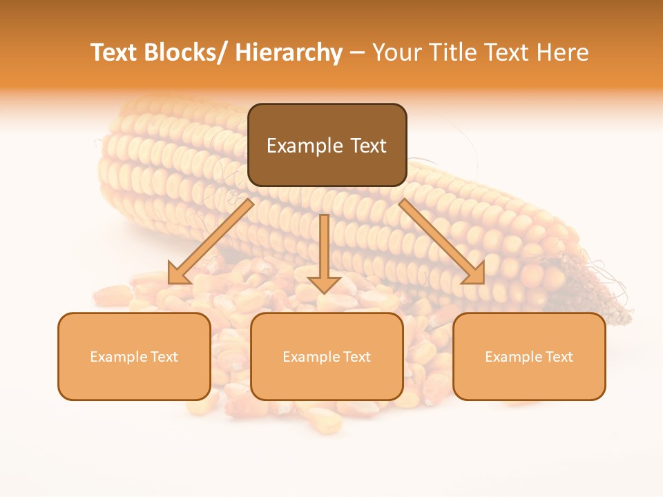 Golden Vegetable Corn PowerPoint Template