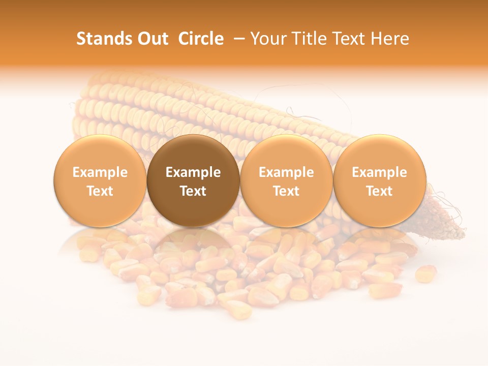 Golden Vegetable Corn PowerPoint Template