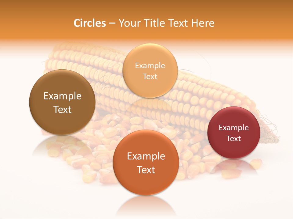 Golden Vegetable Corn PowerPoint Template