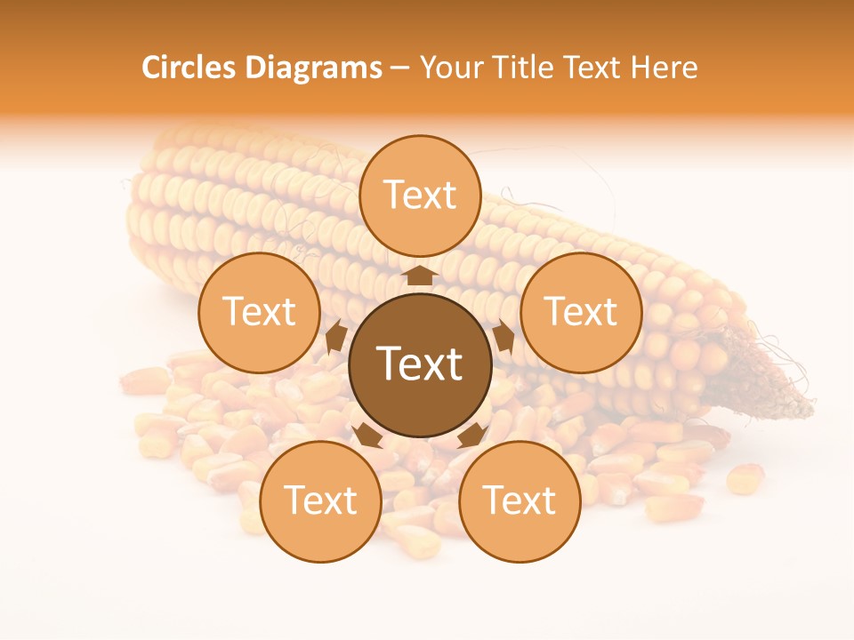 Golden Vegetable Corn PowerPoint Template