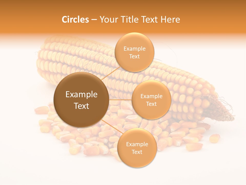 Golden Vegetable Corn PowerPoint Template