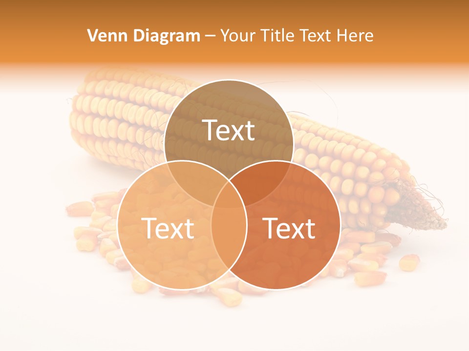 Golden Vegetable Corn PowerPoint Template