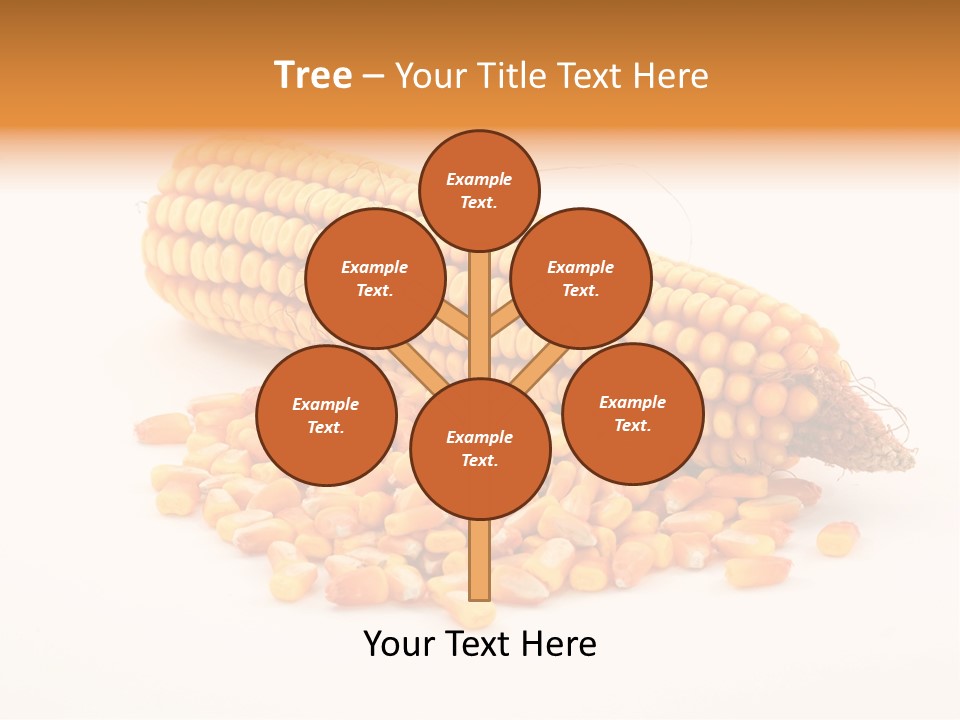 Golden Vegetable Corn PowerPoint Template