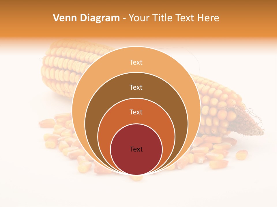 Golden Vegetable Corn PowerPoint Template