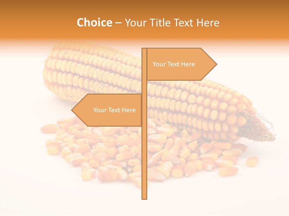 Golden Vegetable Corn PowerPoint Template