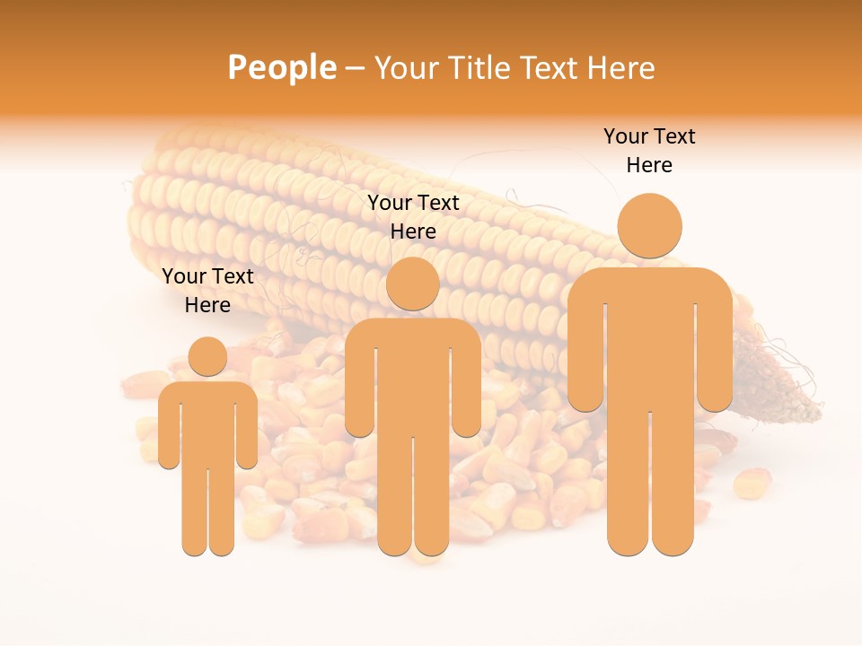 Golden Vegetable Corn PowerPoint Template