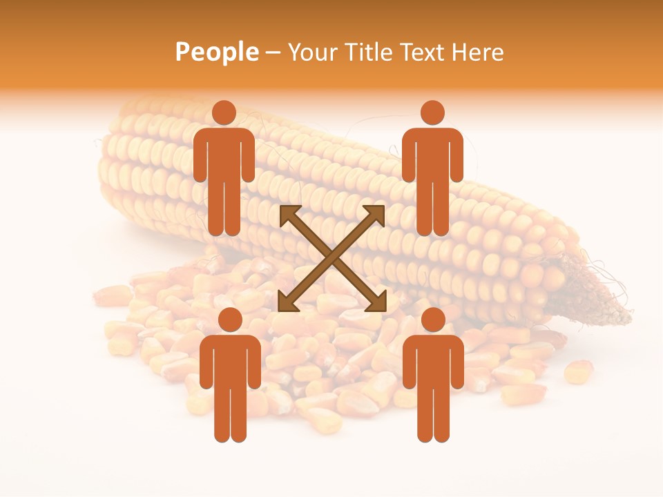 Golden Vegetable Corn PowerPoint Template