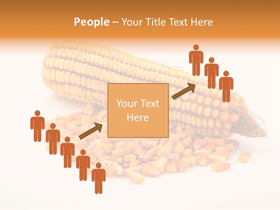 Golden Vegetable Corn PowerPoint Template