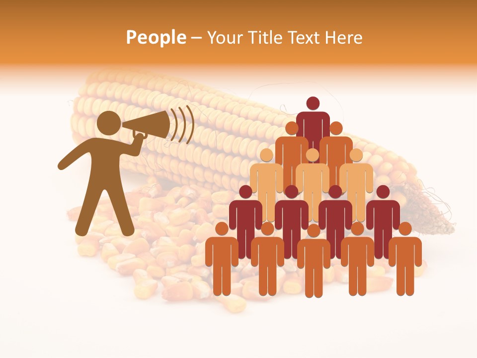 Golden Vegetable Corn PowerPoint Template