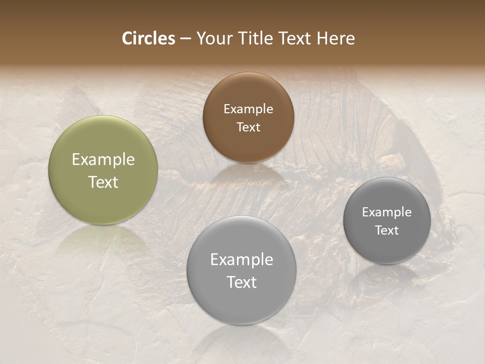 Fish Fossil Wilderness PowerPoint Template