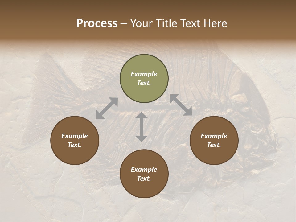 Fish Fossil Wilderness PowerPoint Template