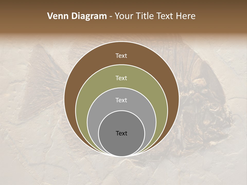 Fish Fossil Wilderness PowerPoint Template