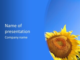 Culture Yellow Sun PowerPoint Template