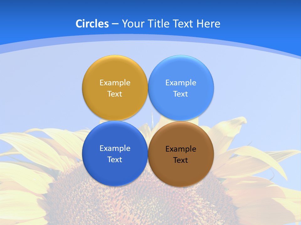 Culture Yellow Sun PowerPoint Template