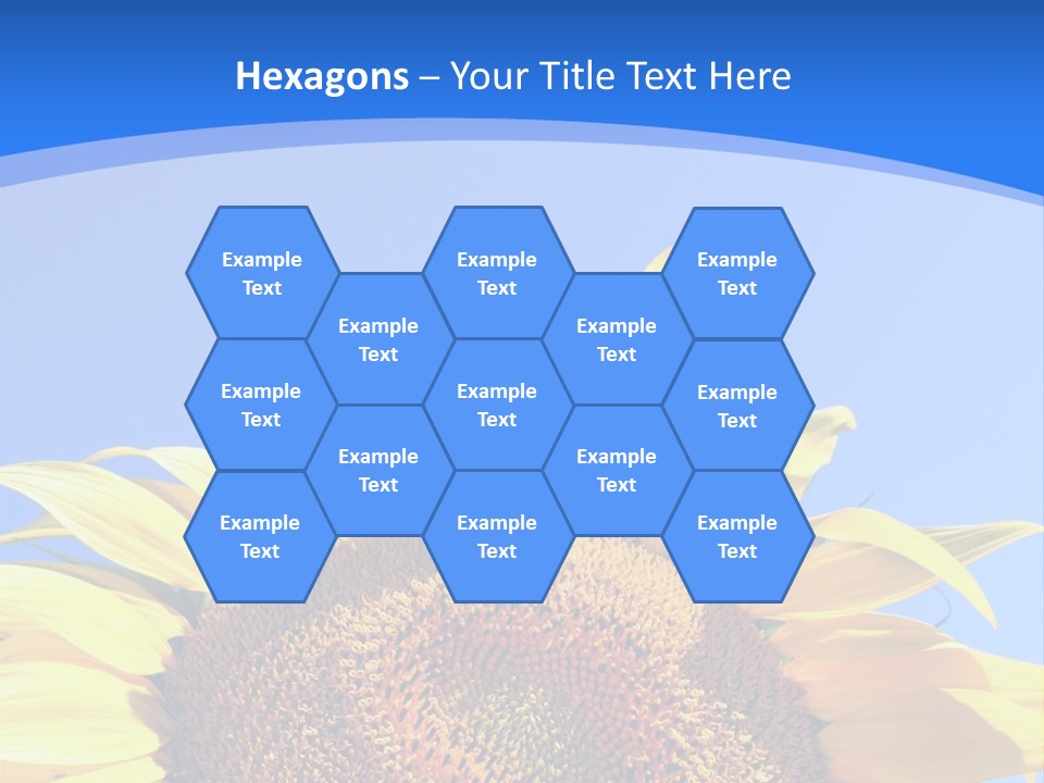 Culture Yellow Sun PowerPoint Template