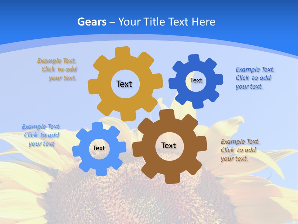 Culture Yellow Sun PowerPoint Template