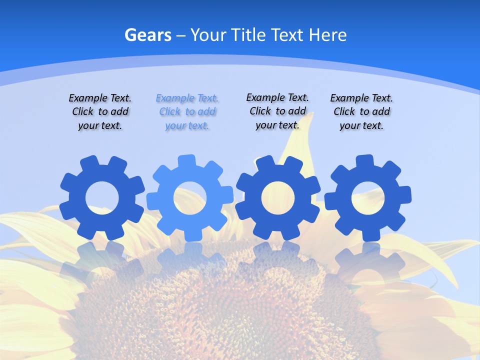 Culture Yellow Sun PowerPoint Template