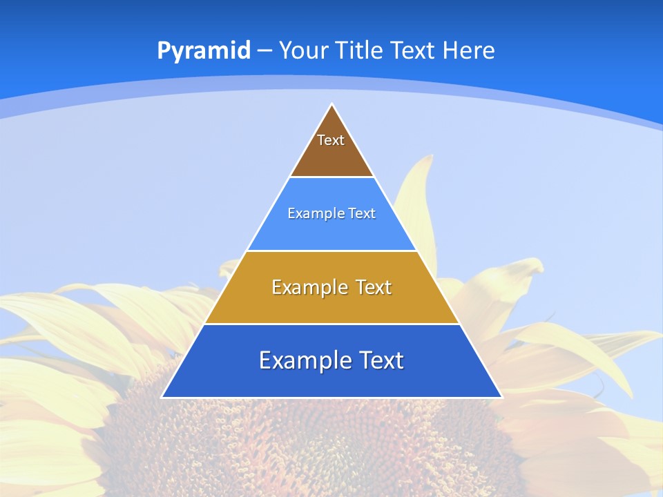 Culture Yellow Sun PowerPoint Template