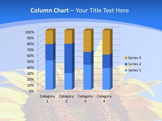 Culture Yellow Sun PowerPoint Template