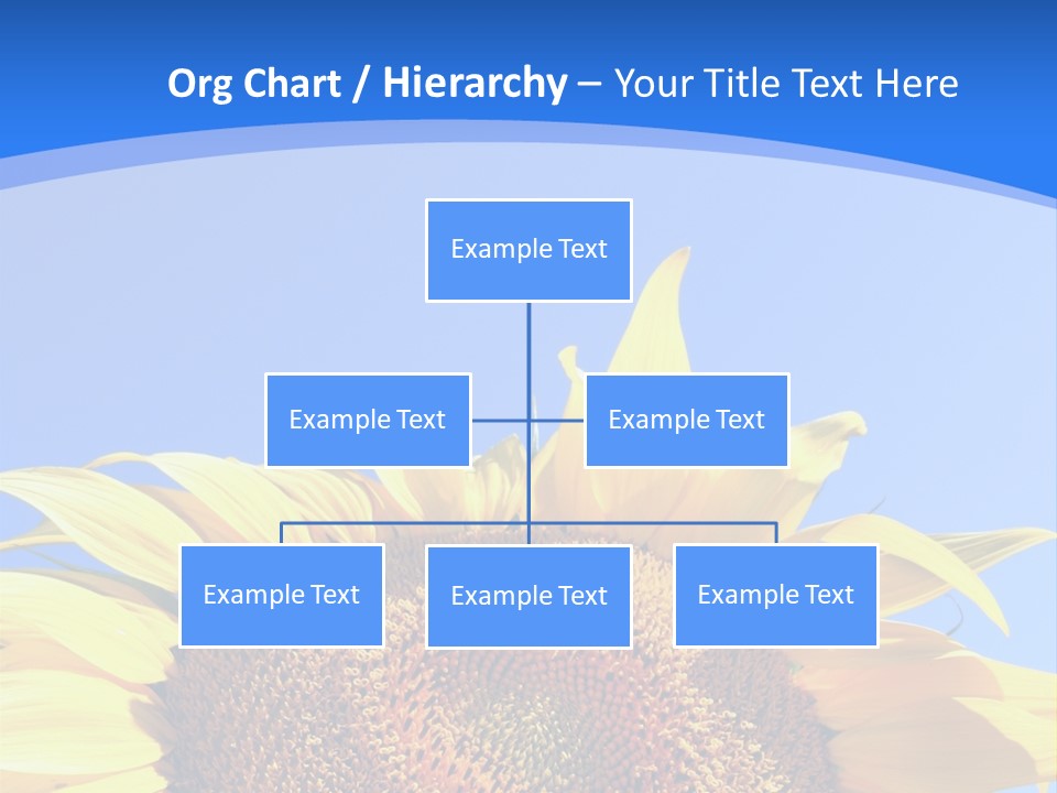 Culture Yellow Sun PowerPoint Template