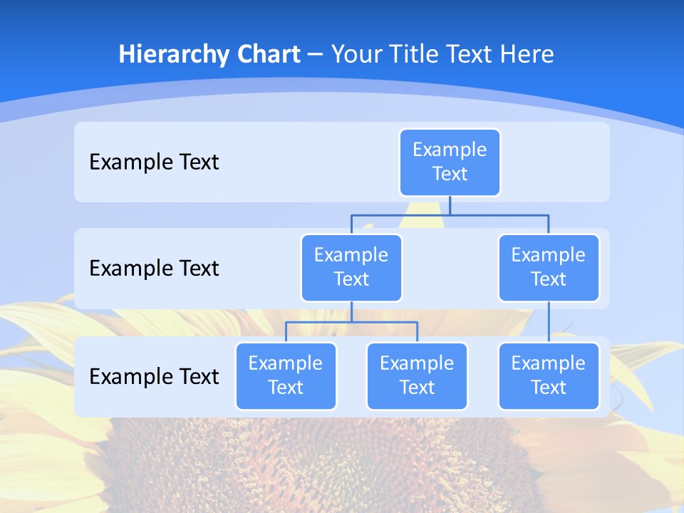 Culture Yellow Sun PowerPoint Template