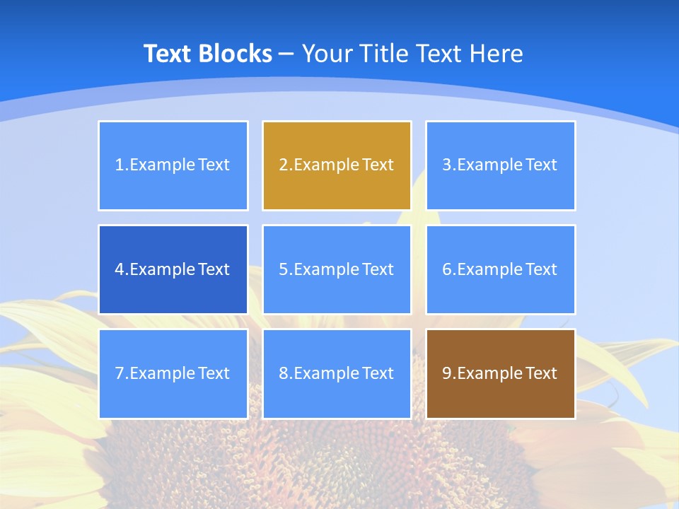 Culture Yellow Sun PowerPoint Template