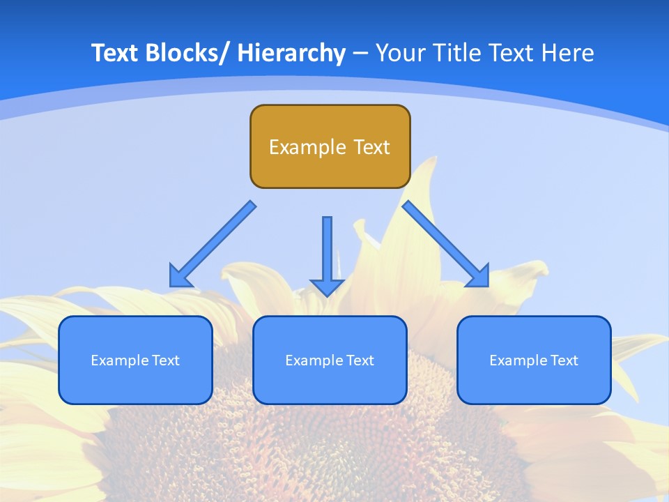 Culture Yellow Sun PowerPoint Template