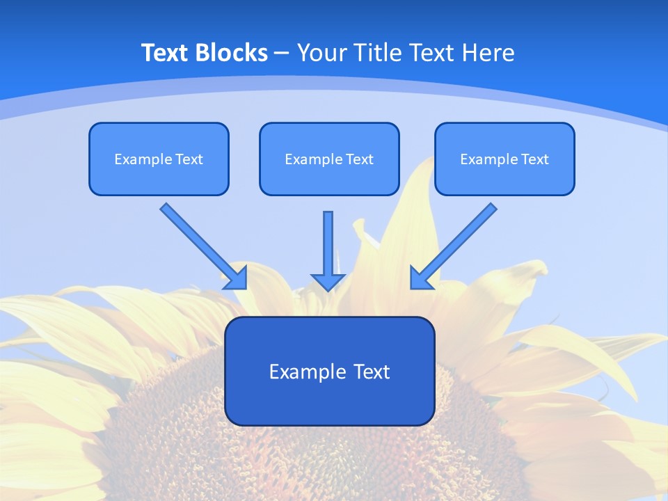 Culture Yellow Sun PowerPoint Template