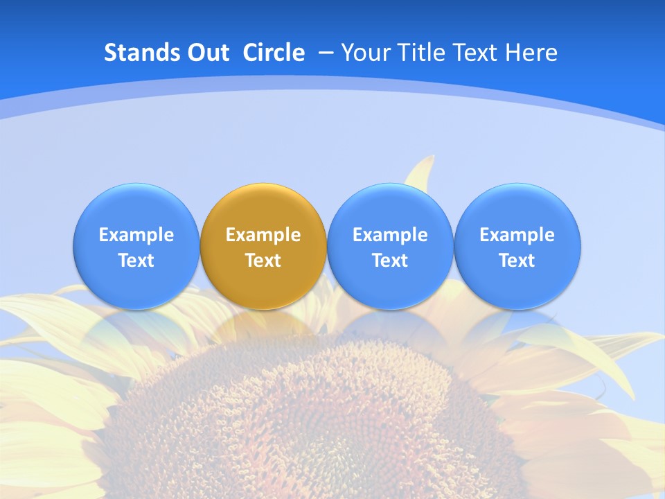 Culture Yellow Sun PowerPoint Template