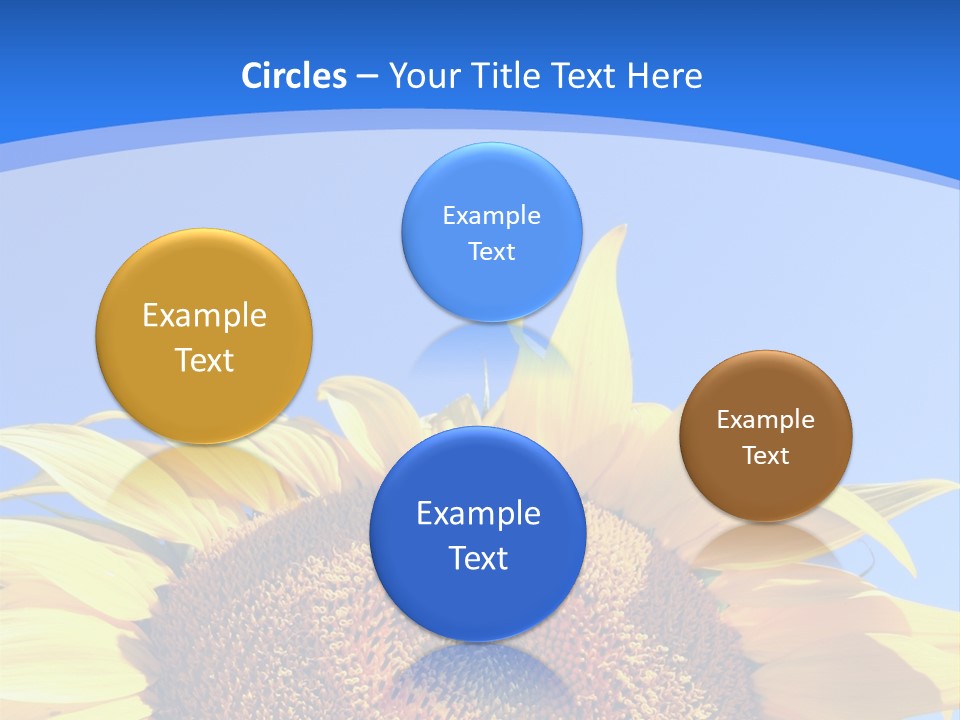 Culture Yellow Sun PowerPoint Template