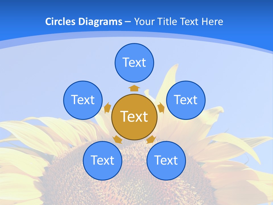 Culture Yellow Sun PowerPoint Template